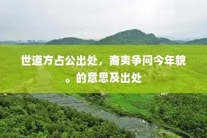 世道方占公出处，裔夷争问今年貌。的意思及出处