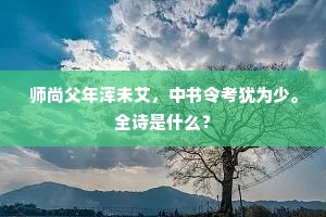 师尚父年浑未艾，中书令考犹为少。全诗是什么？