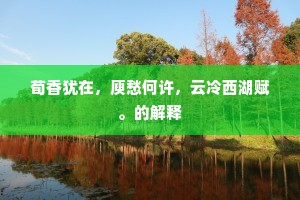 荀香犹在，庾愁何许，云冷西湖赋。的解释