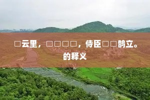 □云里，□□□□，侍臣□□鹄立。的释义