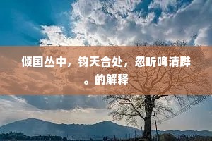 倾国丛中，钧天合处，忽听鸣清跸。的解释
