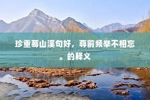 珍重蓦山溪句好，尊前频举不相忘。的释义