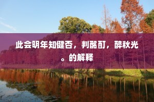 此会明年知健否，判酩酊，醉秋光。的解释