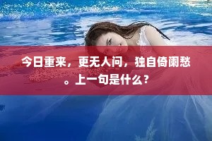 今日重来，更无人问，独自倚阑愁。上一句是什么？
