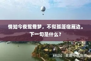 情知今夜鸳鸯梦，不似孤篷宿雁边。下一句是什么？