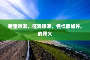 暗蛩啾唧，征鸿嘹唳，憔悴都如许。的释义