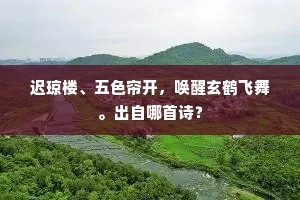 迟琼楼、五色帘开，唤醒玄鹤飞舞。出自哪首诗？
