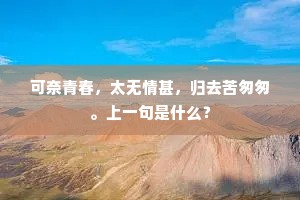 可奈青春，太无情甚，归去苦匆匆。上一句是什么？