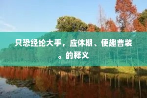 只恐经纶大手，应休期、便趣曹装。的释义