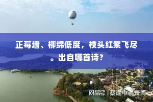 正莓墙、柳绵低度，枝头红紫飞尽。出自哪首诗？