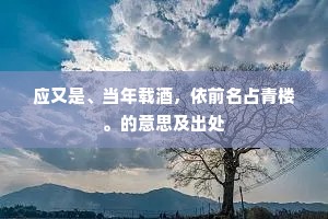 应又是、当年载酒，依前名占青楼。的意思及出处
