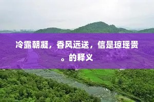 冷露朝凝，香风远送，信是琼瑶贵。的释义