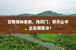 空教故林怨鹤，掩闲门、明月山中。出自哪首诗？