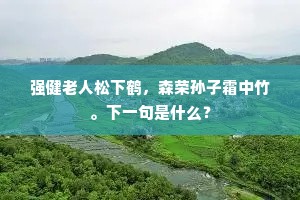 强健老人松下鹤，森荣孙子霜中竹。下一句是什么？