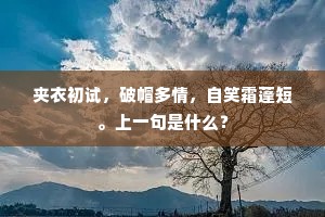 夹衣初试，破帽多情，自笑霜蓬短。上一句是什么？