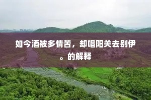 如今酒被多情苦，却唱阳关去别伊。的解释
