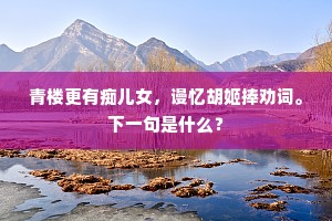 青楼更有痴儿女，谩忆胡姬捧劝词。下一句是什么？