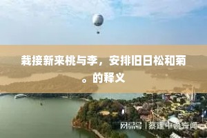 栽接新来桃与李，安排旧日松和菊。的释义