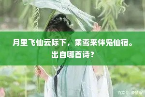 月里飞仙云际下，乘鸾来伴凫仙宿。出自哪首诗？