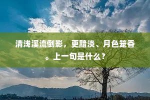 清浅溪流倒影，更黯淡、月色笼香。上一句是什么？