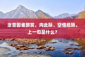 念昔因谁醉赏，向此际、空恼危肠。上一句是什么？