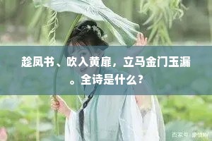 趁凤书、吹入黄扉，立马金门玉漏。全诗是什么？