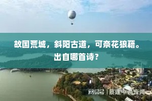 故国荒城，斜阳古道，可奈花狼藉。出自哪首诗？