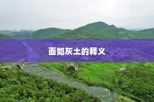面如灰土的释义