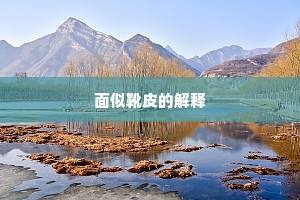面似靴皮的解释