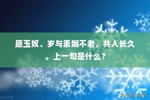 愿玉奴、岁与素娥不老，共人长久。上一句是什么？
