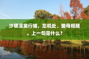 沙暖溪禽行哺，忘机处、雏母相随。上一句是什么？