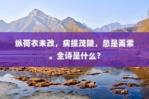 纵荷衣未改，病损茂陵，总是离索。全诗是什么？
