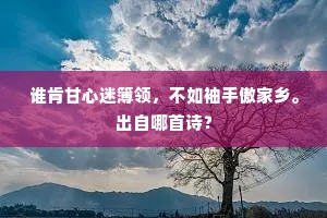 谁肯甘心迷簿领，不如袖手傲家乡。出自哪首诗？