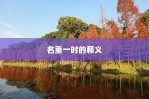 名重一时的释义
