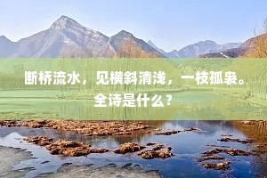 断桥流水，见横斜清浅，一枝孤袅。全诗是什么？