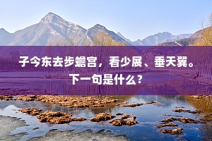 子今东去步蟾宫，看少展、垂天翼。下一句是什么？