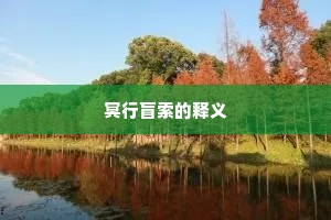 冥行盲索的释义