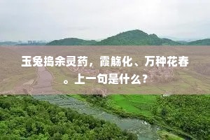 玉兔捣余灵药,霞觞化、万种花春。上一句是什么? 玉兔捣余灵药,霞觞化、万种花春。上一句是什么?