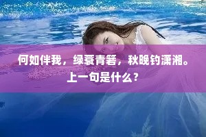 何如伴我，绿蓑青箬，秋晚钓潇湘。上一句是什么？