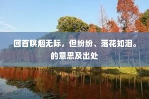 回首暝烟无际，但纷纷、落花如泪。的意思及出处