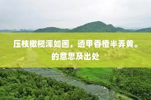 压枝橄榄浑如画，透甲香橙半弄黄。的意思及出处