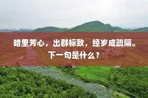 暗里芳心，出群标致，经岁成疏隔。下一句是什么？