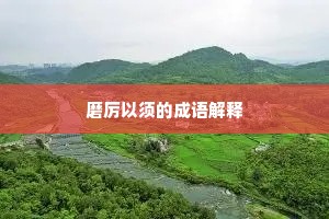 磨厉以须的成语解释