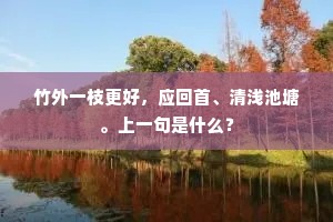 竹外一枝更好，应回首、清浅池塘。上一句是什么？