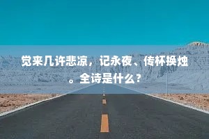觉来几许悲凉，记永夜、传杯换烛。全诗是什么？