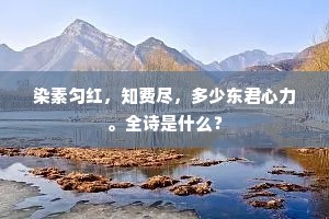 染素匀红，知费尽，多少东君心力。全诗是什么？