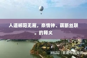 人道郴阳无雁，奈情钟、藕断丝联。的释义