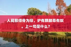 人间那得骨为帘，炉有麒麟尊有蚁。上一句是什么？