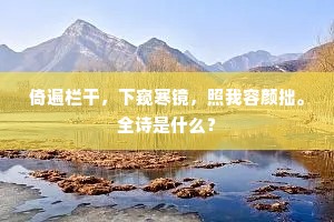 倚遍栏干，下窥寒镜，照我容颜拙。全诗是什么？