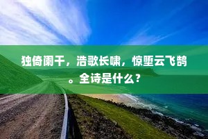独倚阑干，浩歌长啸，惊堕云飞鹄。全诗是什么？